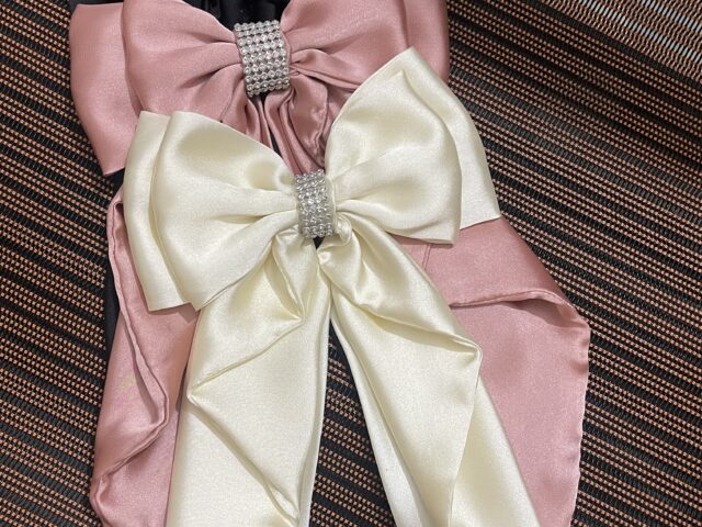 fancy scarf bow clip