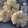 Dutch White Silk Scrunchies Dutch White Silk Scrunchies